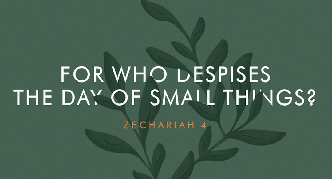 For Who Depises the Day of Small Things